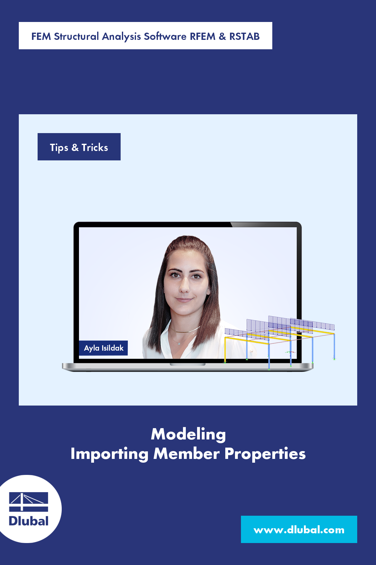 FEA Software RFEM \n and Structural Analysis Software RSTAB 