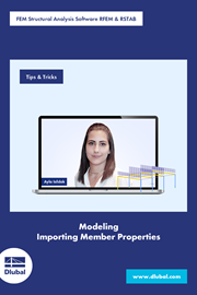 FEA Software RFEM \n and Structural Analysis Software RSTAB 