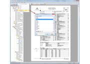 Selecting Language of Printout Report