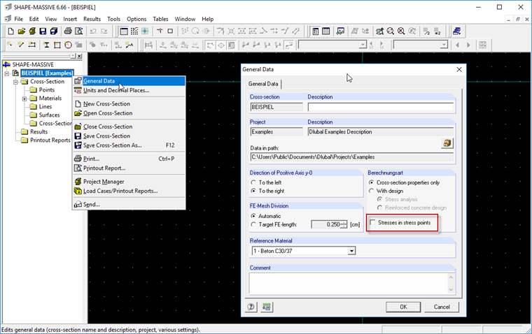 Setting General Data in SHAPE-MASSIVE