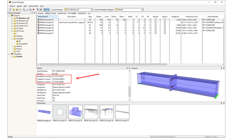 Version Number in Project Manager