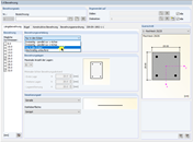 Specifying Longitudinal Reinforcement for Design on Model Column