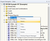 Dialog Box "Printout Report Selection", Tab "Global Selection"