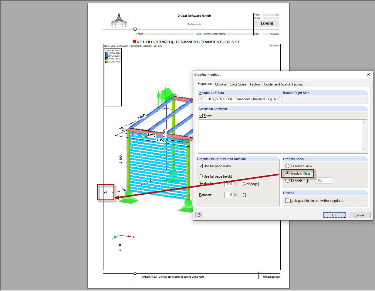 Comment in Printout Report