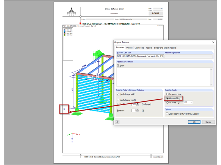 Comment in Printout Report