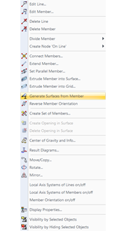 Shortcut Menu: Generate Surfaces from Members