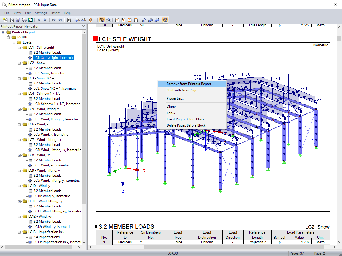 Removing Graphic from Printout Report via Page View
