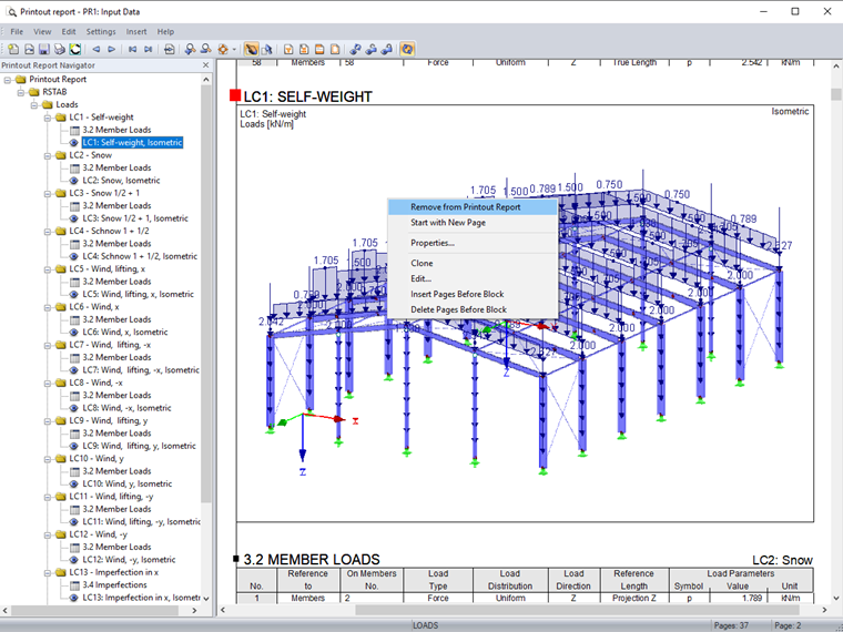 Removing Graphic from Printout Report via Page View