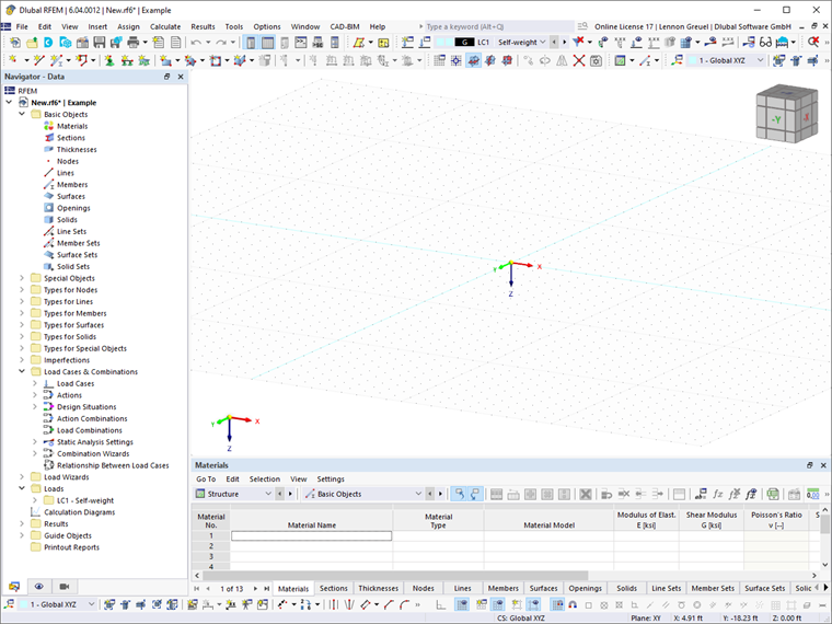 RFEM User Interface
