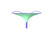Umbrella, X-Axis Direction View
