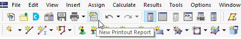 'New Printout Report' Button