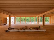 Photo of Building Interior  (© Estudi M103)