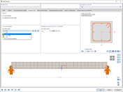 Assigning Type of Concrete Durability to Member in Dialog Box