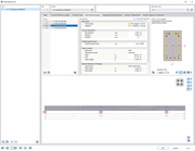 Define individual stirrup and longitudinal reinforcement for members in concrete structures.