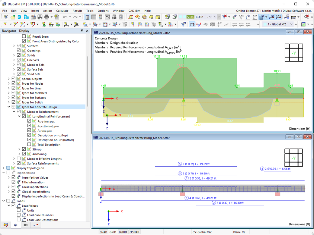 Graphical Display of Member Reinforcement