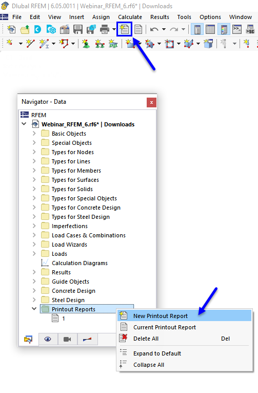 Button "New Printout Report" and Shortcut Menu