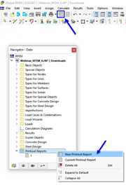 Button "New Printout Report" and Shortcut Menu