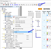 Button "Edit Printout Report" and Shortcut Menu
