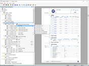 Printout Report Navigator