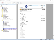 Design Check Details in Printout Report