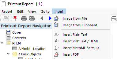 'Insert' Printout Report Menu