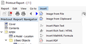'Insert' Printout Report Menu
