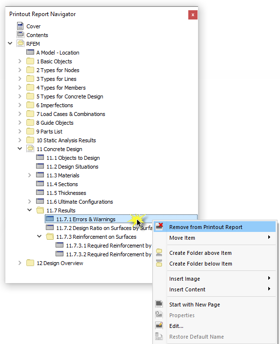 Removing Chapter from Printout Report