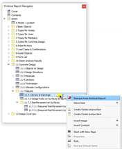 Removing Chapter from Printout Report