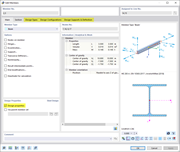 Design Properties Activated for Columns