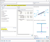 Design Properties Activated for Columns