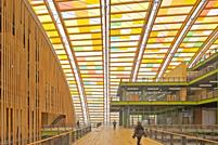 Interior View (© StructureCraft)