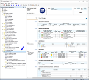 "Steel Design" Data in Printout Report