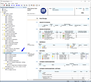 "Steel Design" Data in Printout Report