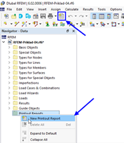 Creating New Printout Report