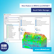 New Feature in RFEM 6 and RSTAB 9