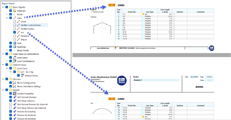 Selected Report Items (Left) and Chapter Content (Right)