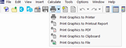 Selecting Option for Graphic Printout