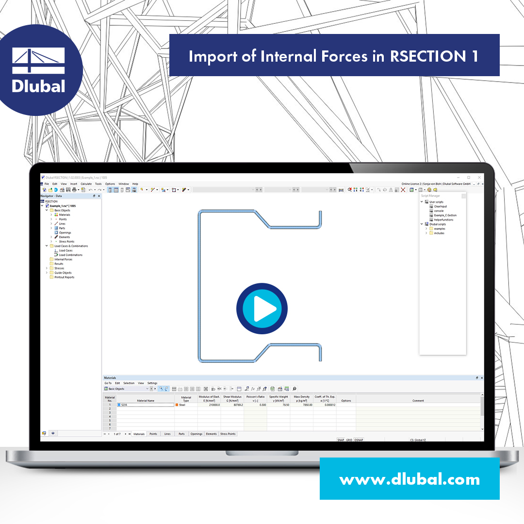 Import of Internal Forces in RSECTION 1