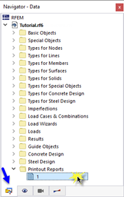 Opening Printout Report