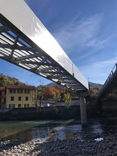 CP 001239 | #ng_question#