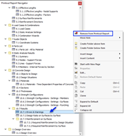 Removing Chapter from Printout Report