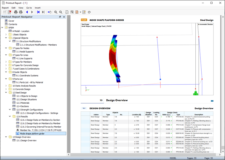 Image in Printout Report