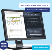 New Feature in RFEM 6 and RSTAB 9