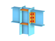 Steel Rigid and Pinned Connection