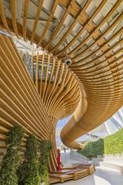 Curved Footbridge (© Rubner - Versatile Synergy)