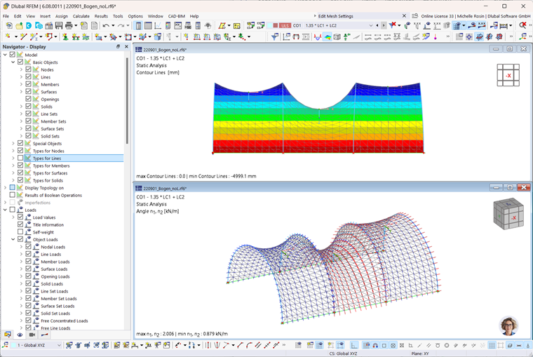 Arch-Supported Membrane with Construction Support
