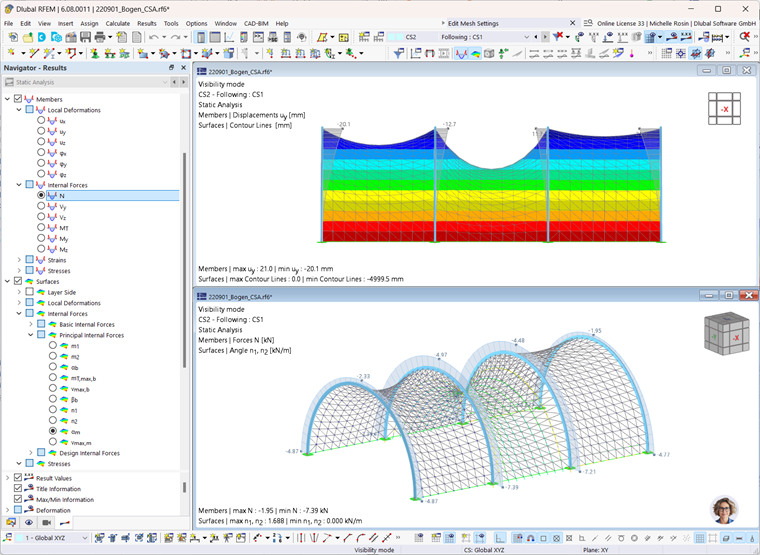 Arch-Supported Membrane with Construction Support (CSA)