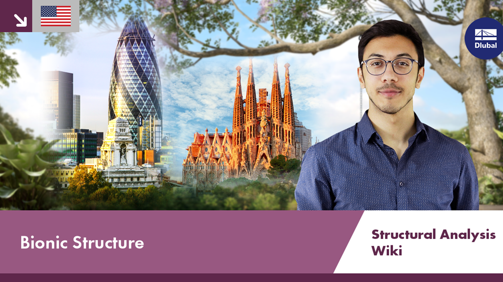 Bionically inspired supporting structure that uses innovative shapes for efficient load distribution. Structural design promotes structural optimization.