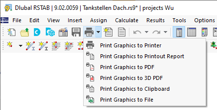 Selecting Option for Graphic Printout