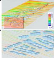 Wind Flow Analysis Results: (A) Wind Flow Lines Across Community Color-Coded Based on Variation of Their Wind Speed; (B) Close-up View on Variation in Wind Flow and Wind Speed